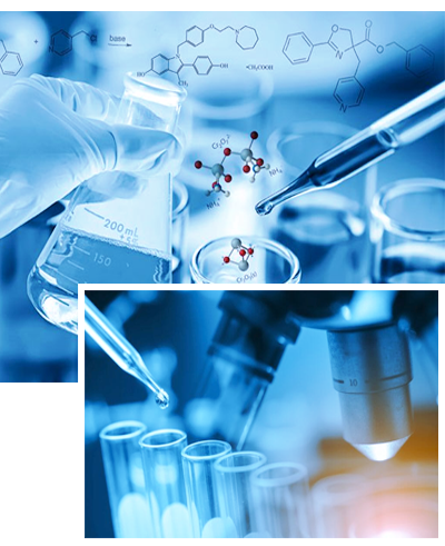 R&D Lab Research